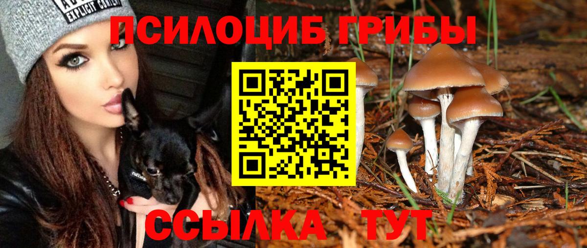 Галлюциногенные грибы GOLDEN TEACHER  Псилоцибиновые грибы Magic Shrooms  Вход с VPN  Елизово 
